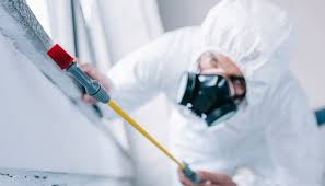 Best Residential Pest Control  in Franklin, LA